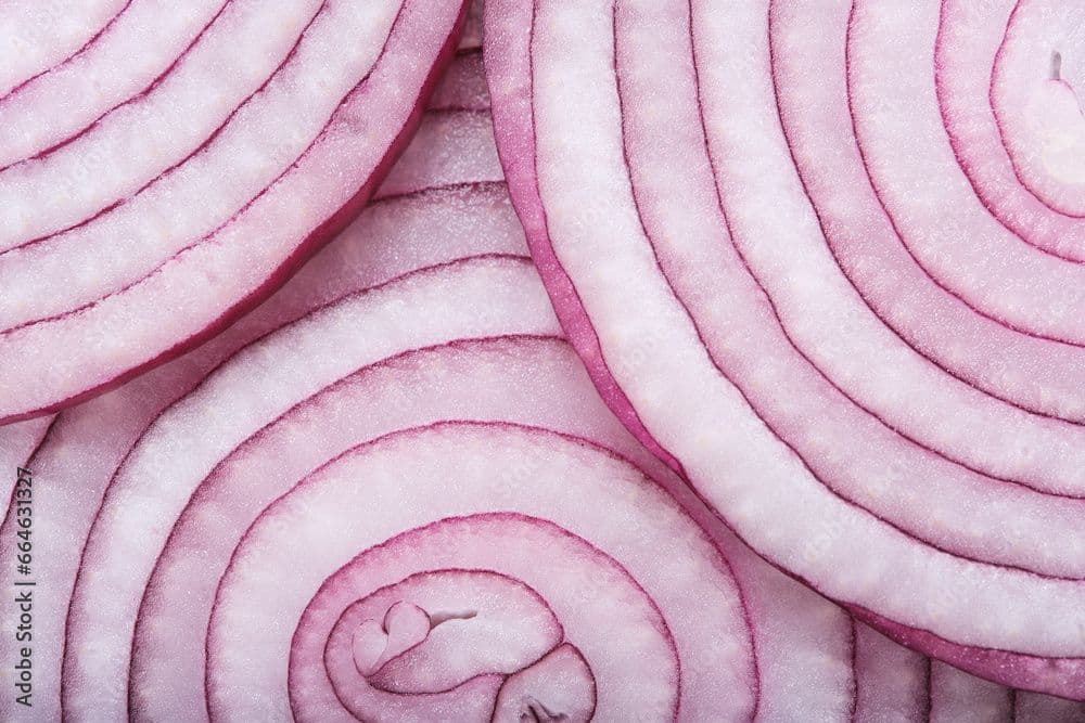 Voeding begrijpelijk maken met 3D