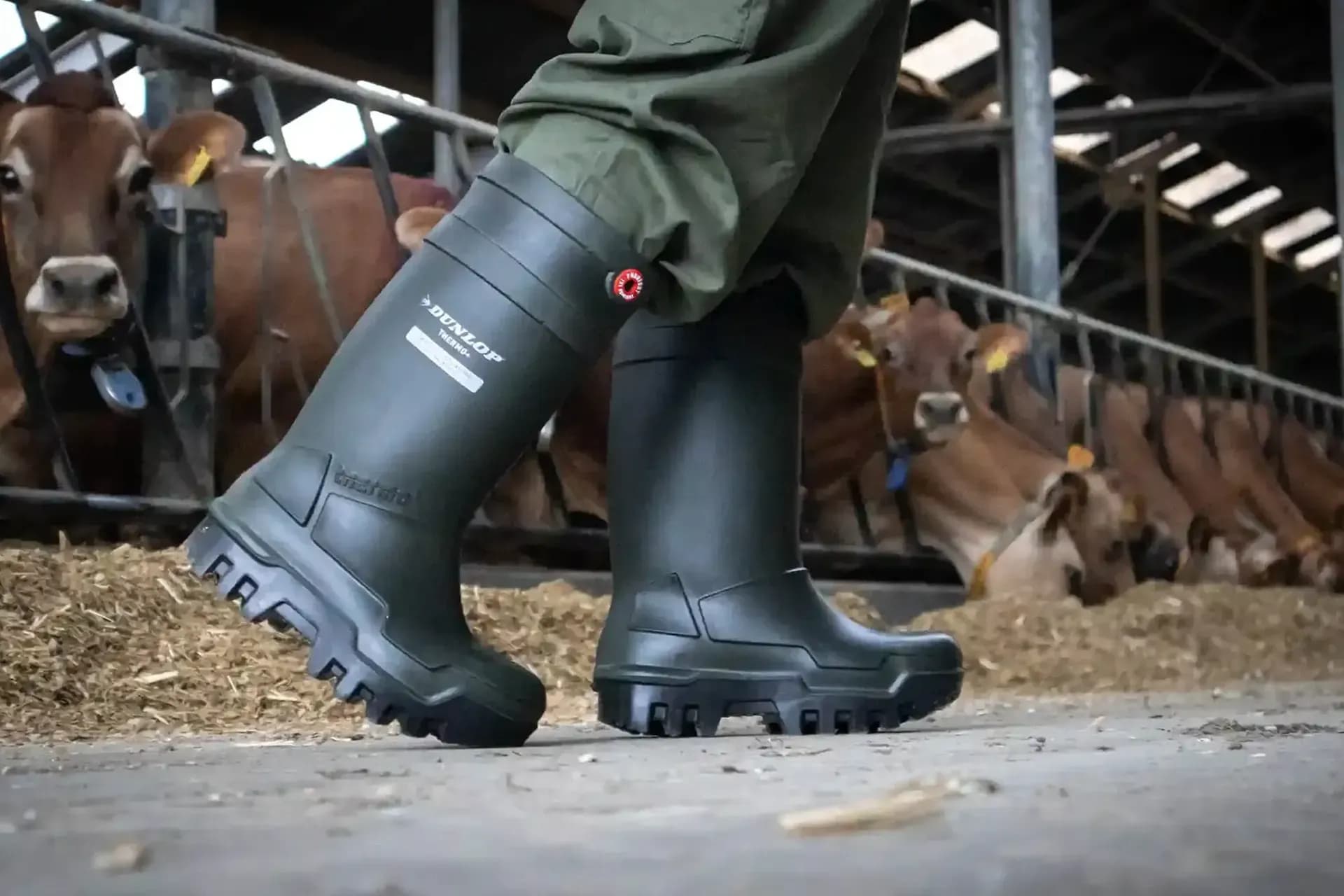 Dunlop versterkt verkoop met interactieve 3D-marketingmiddelen